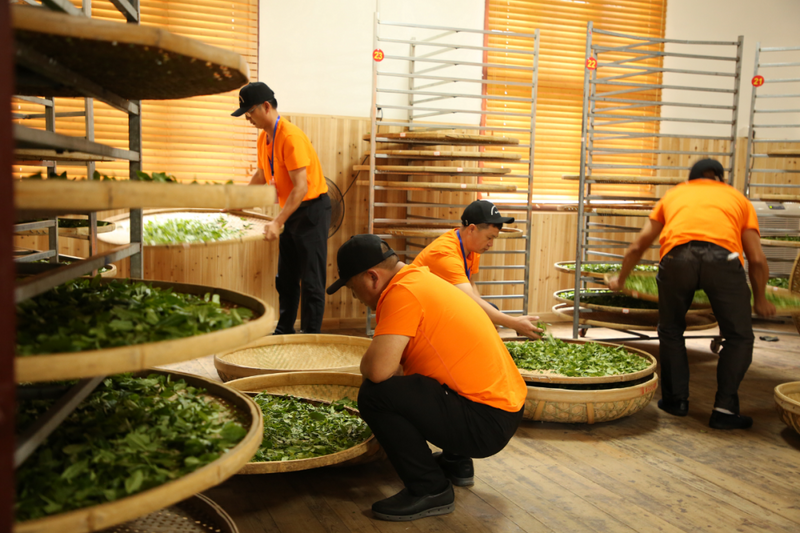 关于抓住时代机遇与红利！首届中国红茶大会究竟怎么开？的新闻(2)