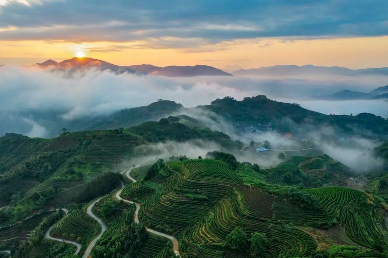 关于抓住时代机遇与红利！首届中国红茶大会究竟怎么开？的新闻(1)