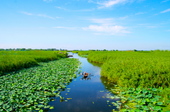 关于低调做事 低调饮茶，“中原双雄”河南河北都有什么茶？的新闻(8)