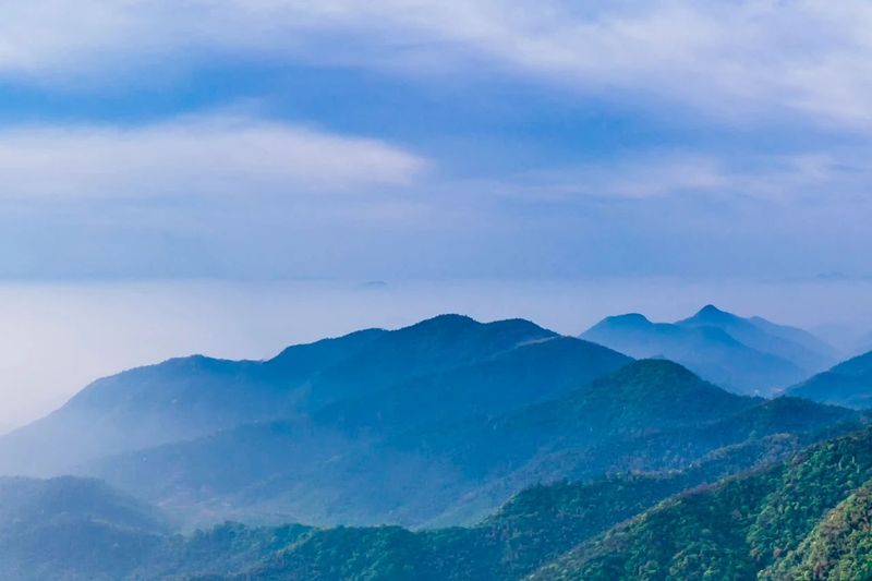 关于低调做事 低调饮茶，“中原双雄”河南河北都有什么茶？的新闻(3)