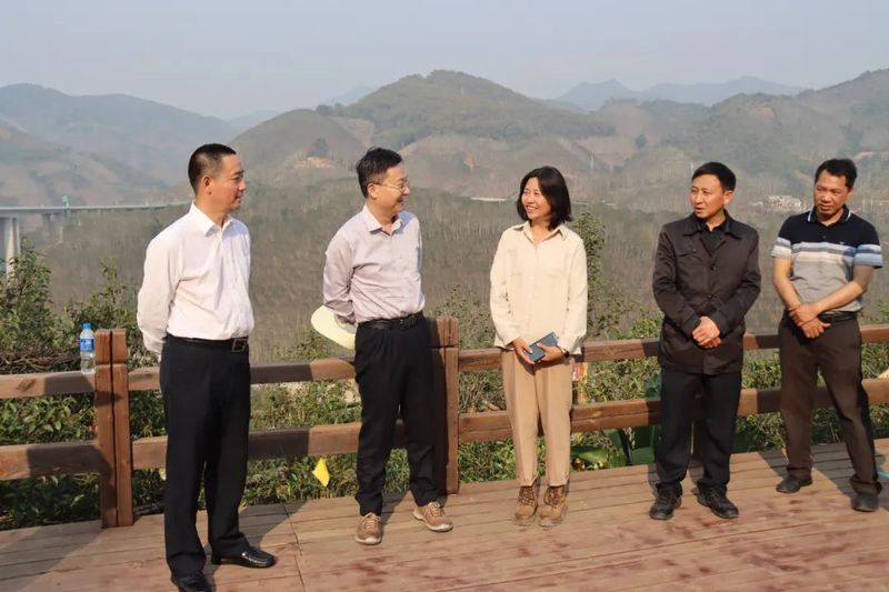 关于江西省九江市人大常委会到临翔区考察茶叶产业发展的相关信息