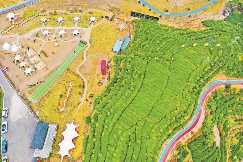 关于引来“活水” 实现多方共赢，从福鼎经验看茶业发展的内容(1)