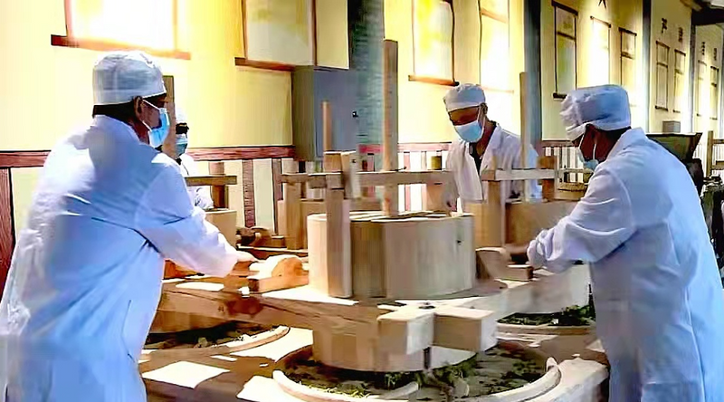 关于临沧：构建现代茶业新型产业体系 打造世界一流茶产业的相关内容(4)