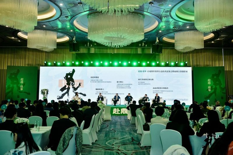 有关于世界白茶发源地 “超越·鼎峯”白毫银针慈善公益拍卖品鉴会暨福鼎白茶摄影展成功举办的内容(5)