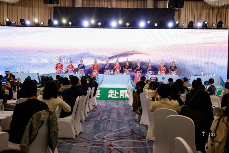 有关于世界白茶发源地 “超越·鼎峯”白毫银针慈善公益拍卖品鉴会暨福鼎白茶摄影展成功举办的内容(2)