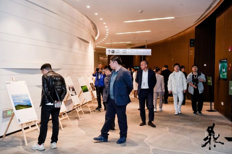 有关于世界白茶发源地 “超越·鼎峯”白毫银针慈善公益拍卖品鉴会暨福鼎白茶摄影展成功举办的内容(15)