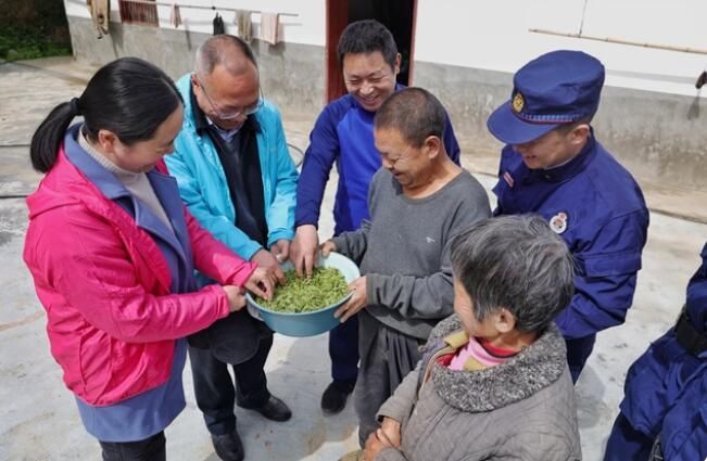 关于湖北宜昌：火焰蓝“学雷锋”，为困难群众“抢”摘春茶的最新消息(1)