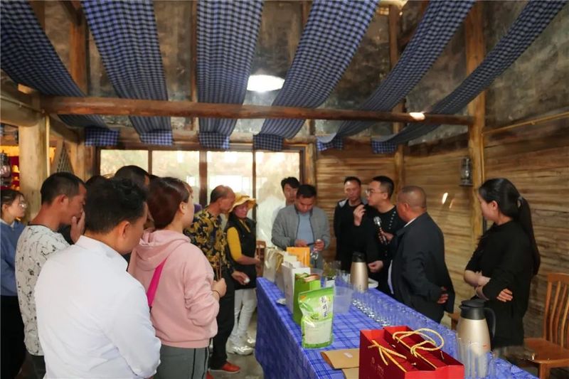 关于2023年贵州茶产业技能培训走进贞丰的内容(1)