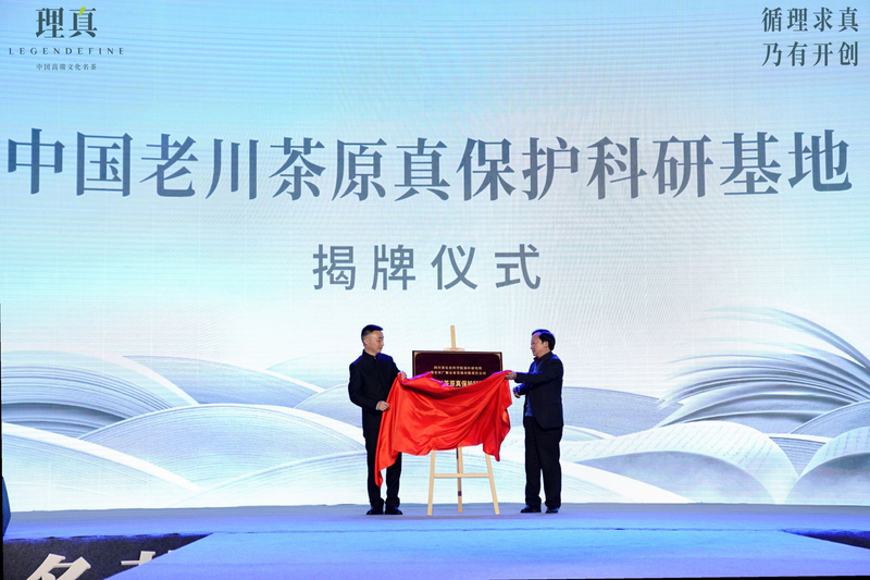 关于理真第一杯春茶，致敬开创的力量的相关信息(4)