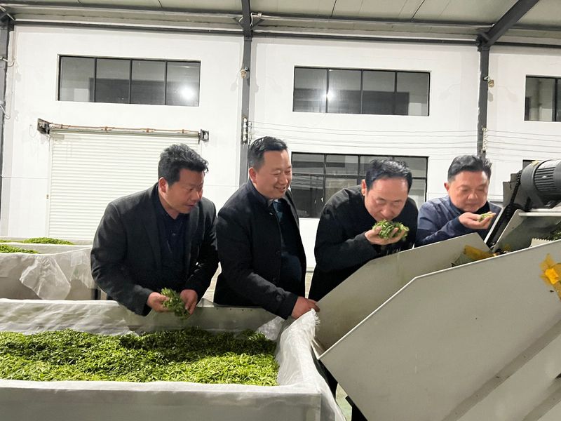 有关于开园啦！3·15诚信日，这些专家见证福山茶园芽头鲜！的新闻(11)