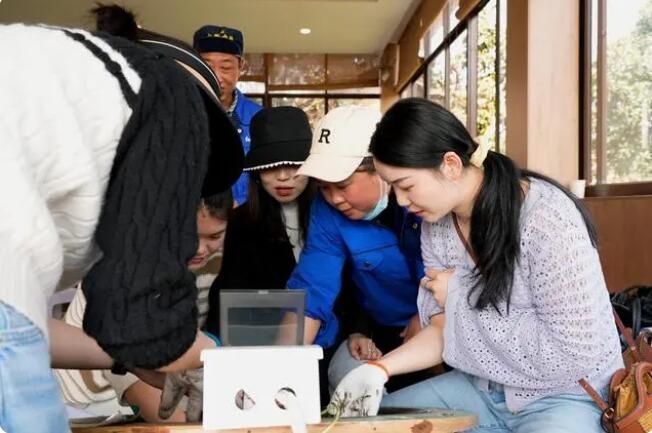 有关于清镇市红枫湖畔首批春茶抢“鲜”开采的信息(7)