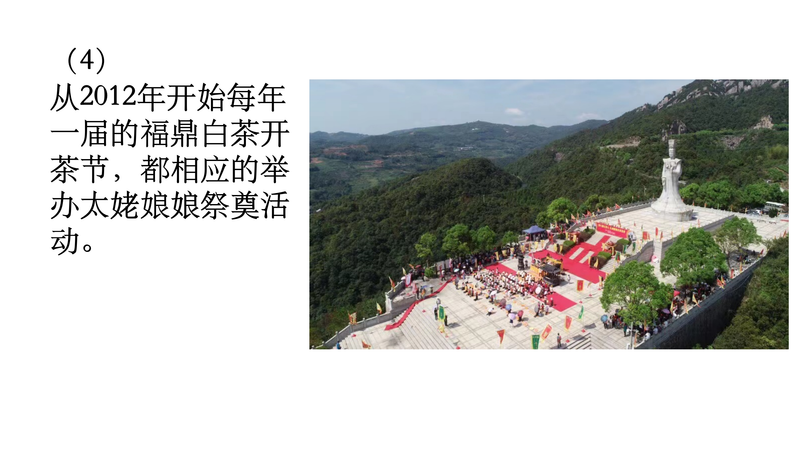 有关于中国白茶始祖：太姥身份的再认识的新闻(11)