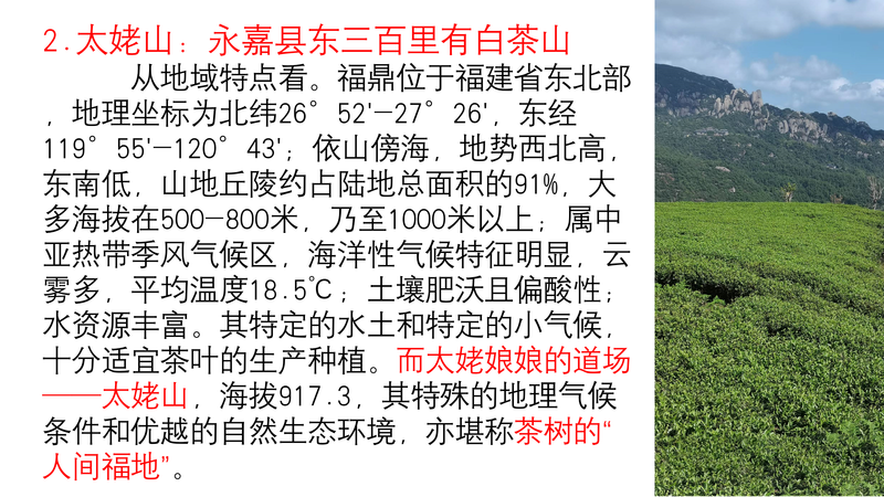 有关于中国白茶始祖：太姥身份的再认识的新闻(5)