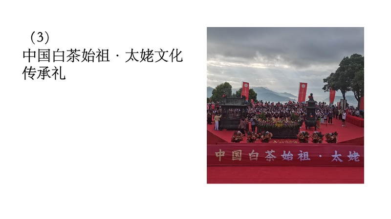 有关于中国白茶始祖：太姥身份的再认识的新闻(10)