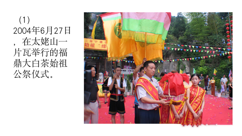 有关于中国白茶始祖：太姥身份的再认识的新闻(8)