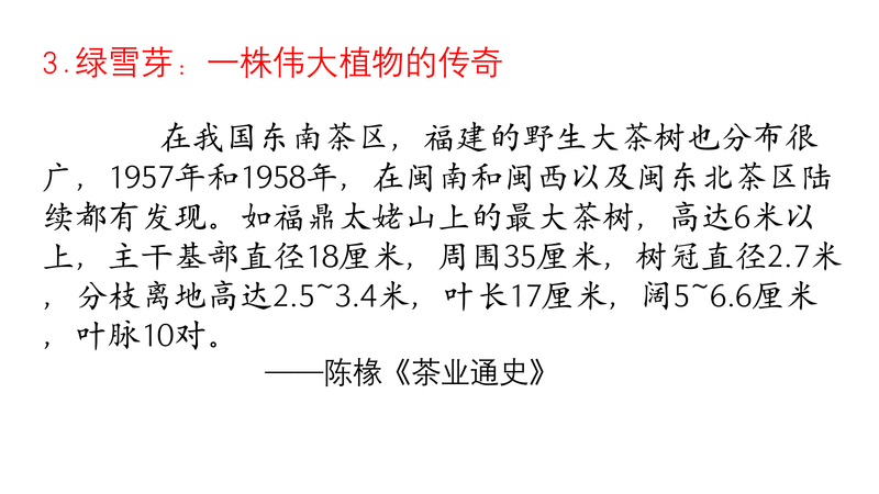 有关于中国白茶始祖：太姥身份的再认识的新闻(6)