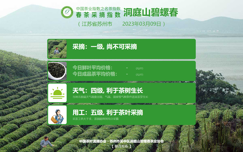 关于2023春茶采摘指数：新昌大佛龙井开采的信息(7)