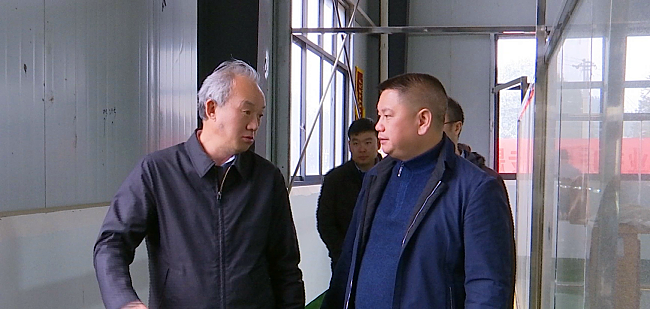 关于胡继承到晴隆调研茶产业发展工作的新闻