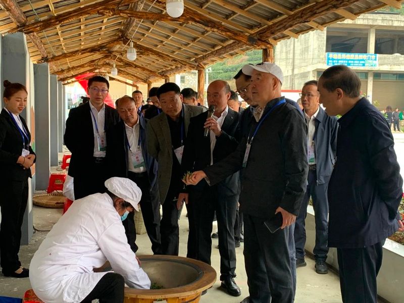 有关于第八届“品平塘甲茶·观中国天眼——贵州春茶第一壶”开采品鉴系列活动启动的信息(7)