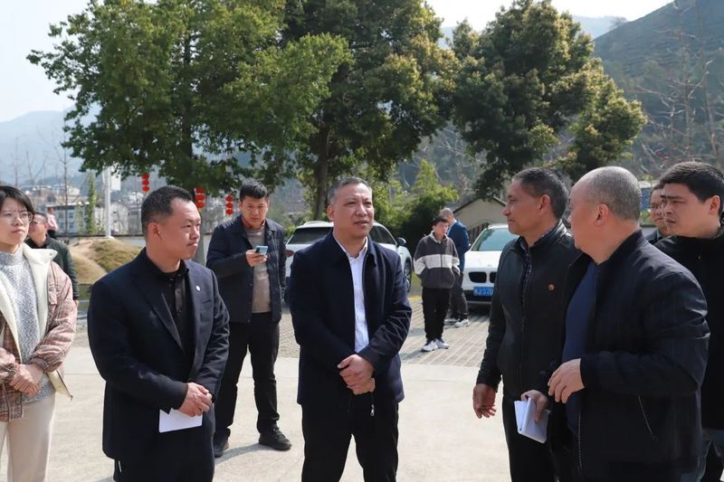 有关于福安市领导开展茶产业发展暨中国红茶大会筹备情况调研的最新消息(3)