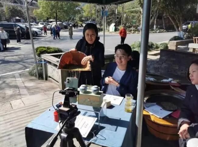 关于采茶工已就位，西湖龙井43号正式开采！今年价格怎么样？的最新消息(3)