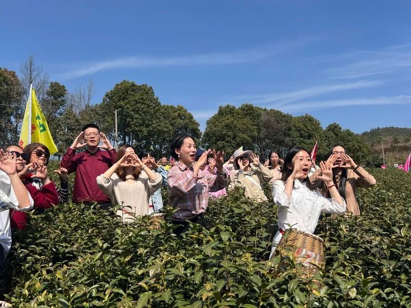 有关于春天的味道来了！宜兴首批春茶抢“鲜”开采的消息(5)