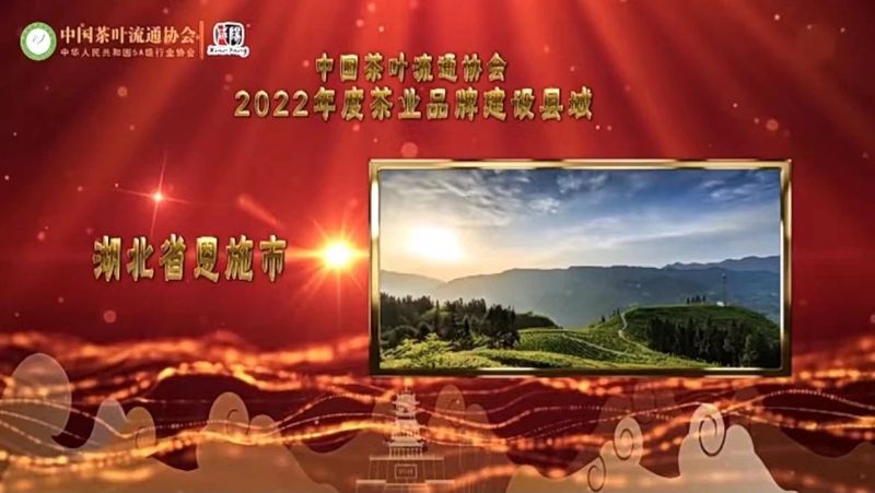 有关于强势霸榜！第十八届中国茶业经济年，恩施州茶产业成绩亮眼！的新闻(3)