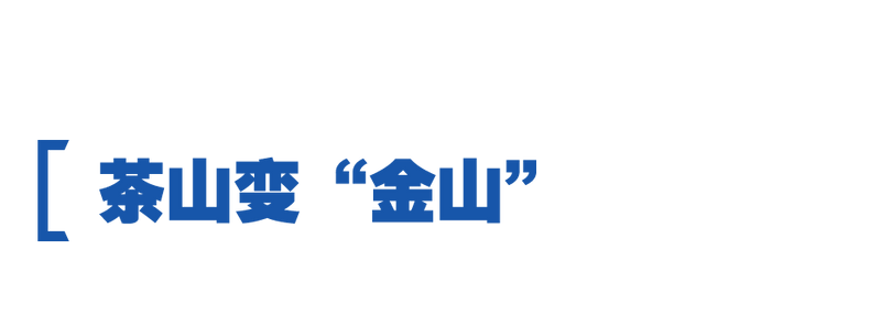 有关于看中国式现代化图景：茶香富农的相关内容(3)