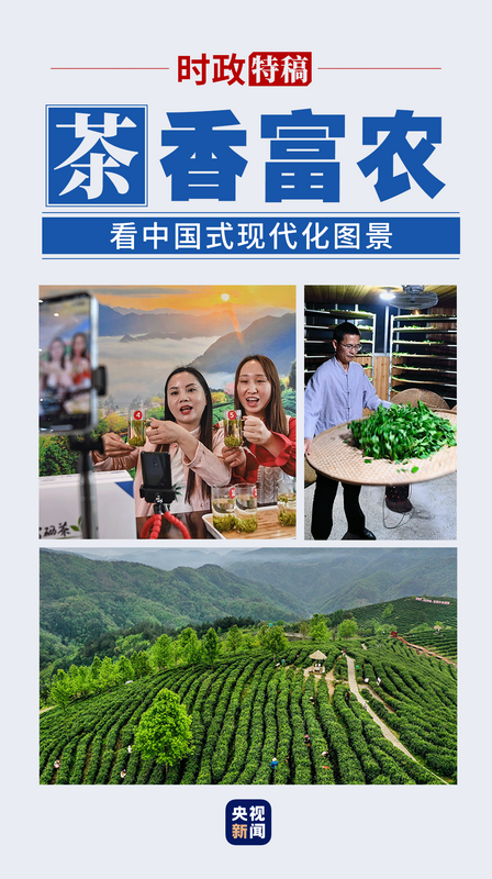 有关于看中国式现代化图景：茶香富农的相关内容