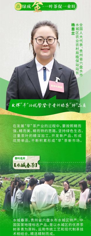 有关于黔滇闽浙皖5省党报联动报道，点绿成金 一叶茶促一业旺的消息(1)