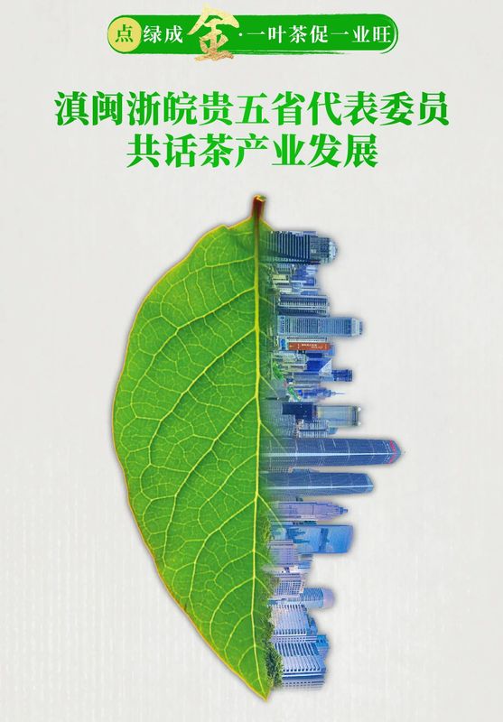 有关于黔滇闽浙皖5省党报联动报道，点绿成金 一叶茶促一业旺的消息