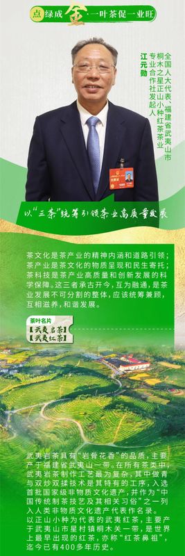 有关于黔滇闽浙皖5省党报联动报道，点绿成金 一叶茶促一业旺的消息(7)