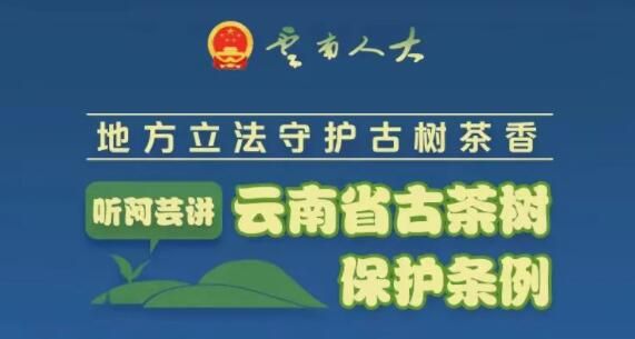 关于一周速读：云南省古茶树保护条例实施、绿茶第一市开市、共话“中国茶·新格局”的相关内容