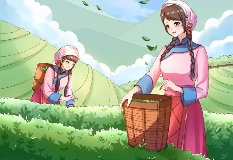 关于一周速读：云南省古茶树保护条例实施、绿茶第一市开市、共话“中国茶·新格局”的相关内容(4)