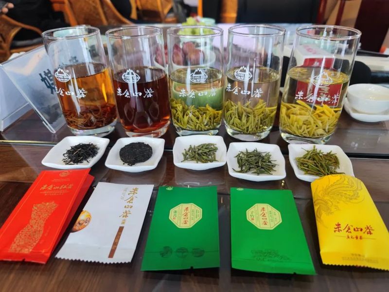 有关于游红城绿谷 寻茶乡古道——“红色旺苍·中国茶乡”春茶品鉴推介活动在浙江杭州举行的内容(4)