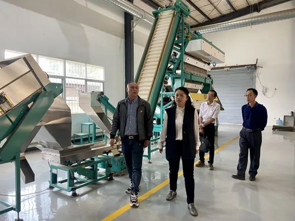 有关于勐海县人民政府县长陶艳到茶叶所调研指导工作的消息