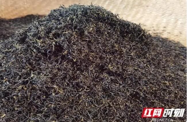 有关于醴陵市：春到茶飘香 茶农采撷忙的消息(3)