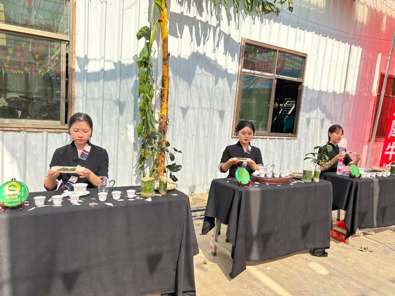 有关于普及古茶树保护知识 提高古茶树保护意识的新闻(1)