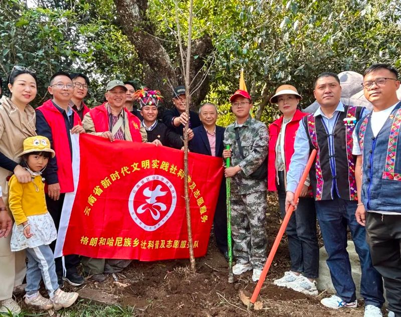 有关于普及古茶树保护知识 提高古茶树保护意识的新闻