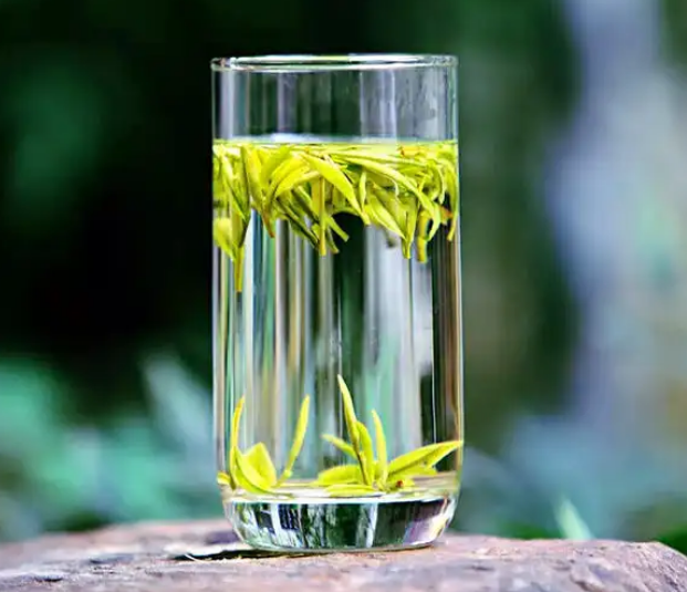 关于2023春茶上市时间是什么时候的最新消息(1)