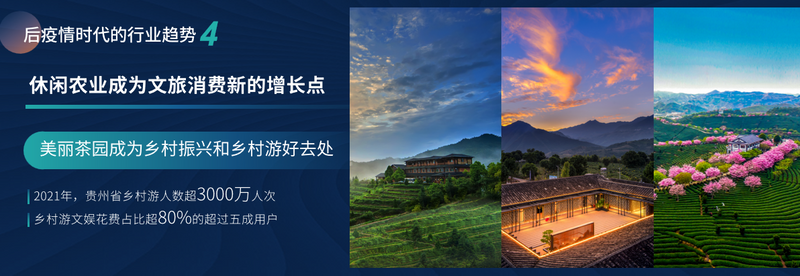 有关于赖晓东：抓住后疫情时代关键节点 洞见贵州茶发展机遇的相关信息(15)