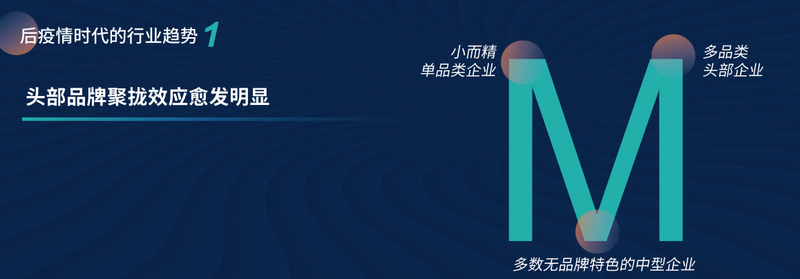 有关于赖晓东：抓住后疫情时代关键节点 洞见贵州茶发展机遇的相关信息(12)