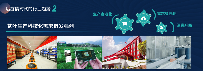 有关于赖晓东：抓住后疫情时代关键节点 洞见贵州茶发展机遇的相关信息(13)