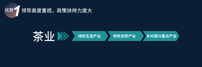 有关于赖晓东：抓住后疫情时代关键节点 洞见贵州茶发展机遇的相关信息(17)