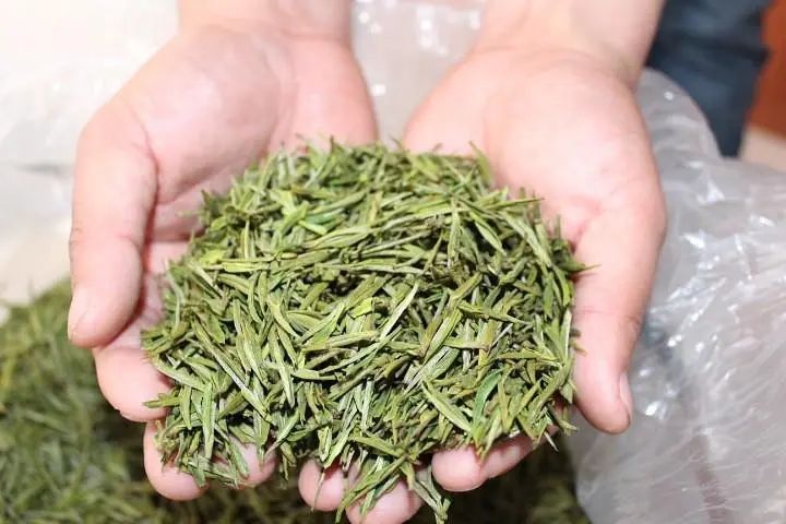 有关于新茶每年几月份上市的信息