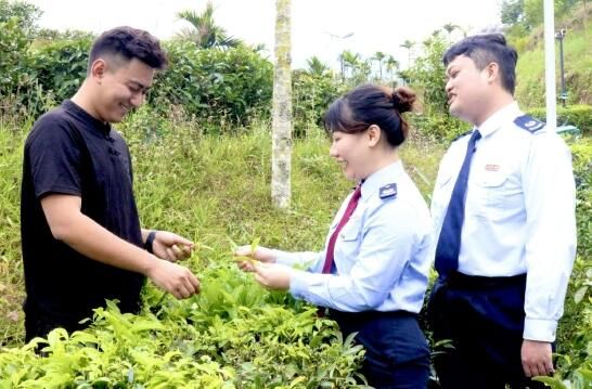 有关于海南税务：税惠“春风”吹拂茶产业香飘四海的最新消息