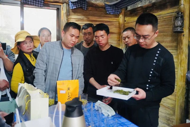 关于2023年贵州茶产业技能培训（贞丰站）举办的信息(14)