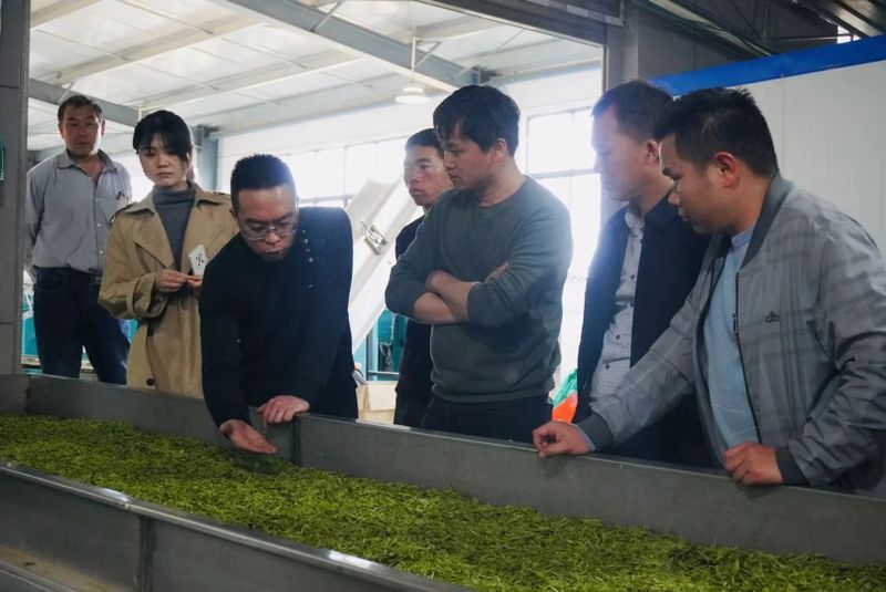 关于2023年贵州茶产业技能培训（贞丰站）举办的信息(16)