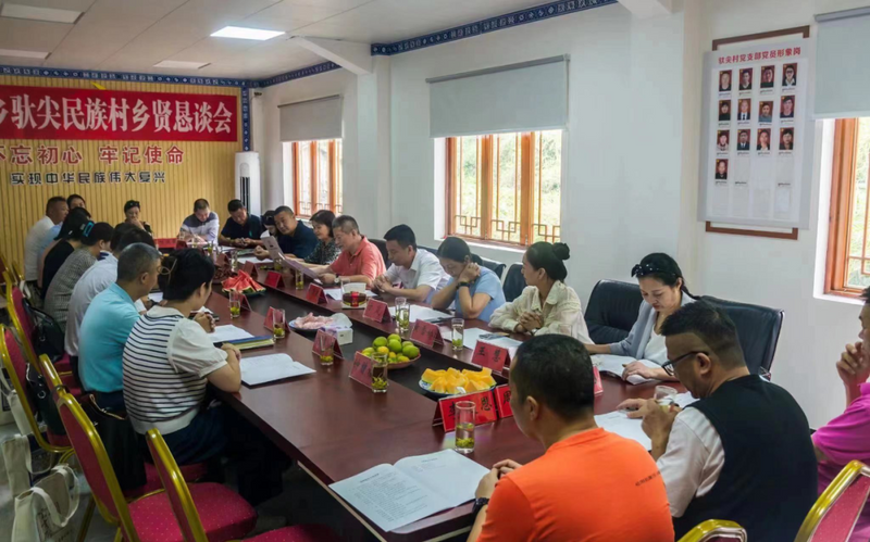 关于长寿之乡浙江文成：这片千亩“天空茶园” 铸就农业共富梦的新闻(11)