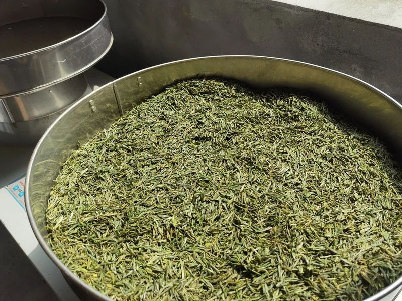 有关于汤色清亮 口感鲜香 汉滨春茶抢鲜上市！的相关信息(3)